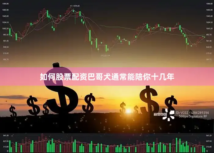 如何股票配资巴哥犬通常能陪你十几年
