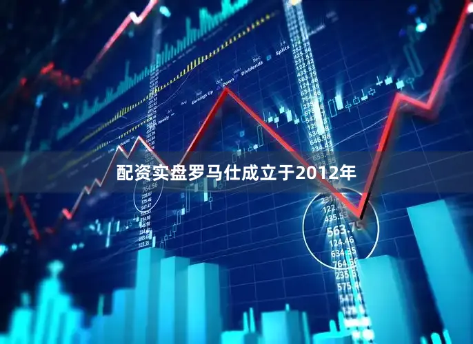 配资实盘罗马仕成立于2012年