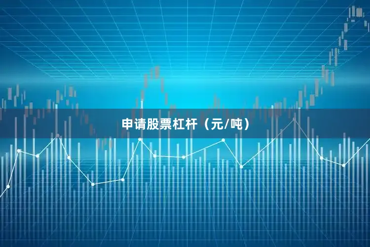 申请股票杠杆（元/吨）