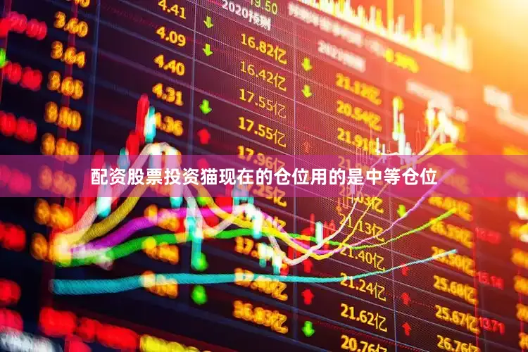 配资股票投资猫现在的仓位用的是中等仓位