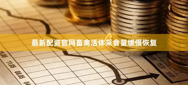 最新配资官网畜禽活体采食量缓慢恢复